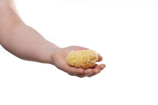 Morská huba Honeycomb malá - bielená