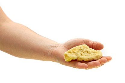 Obrázok pre výrobcu Morská hubka "slonie ucho" malá - bielená