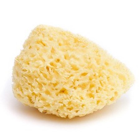 Obrázok pre kategóriu Bielené