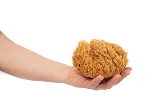 Morská huba tráva stredná - nebielená 